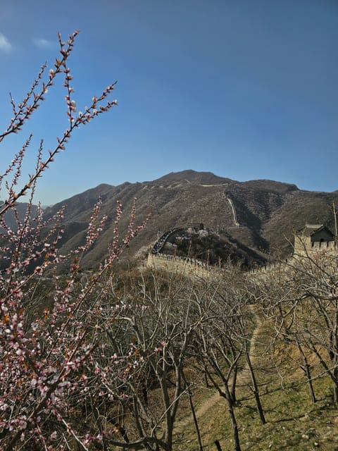 Chinese wall